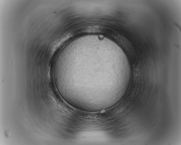 X0000100780727200807101816