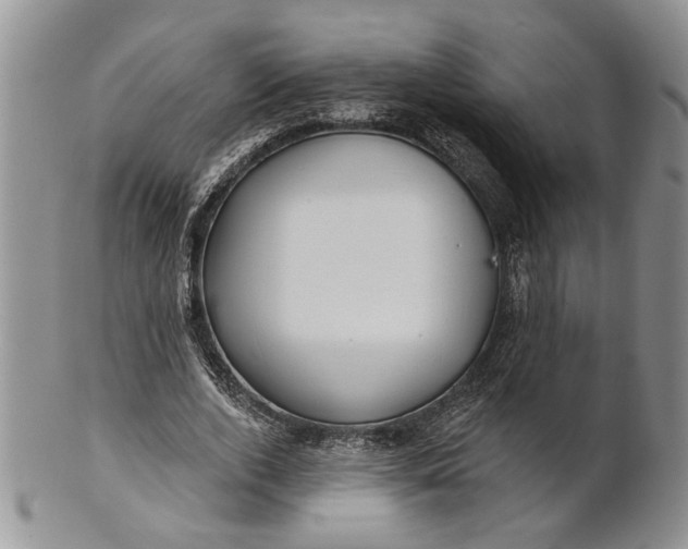 X0000100780728200807101816