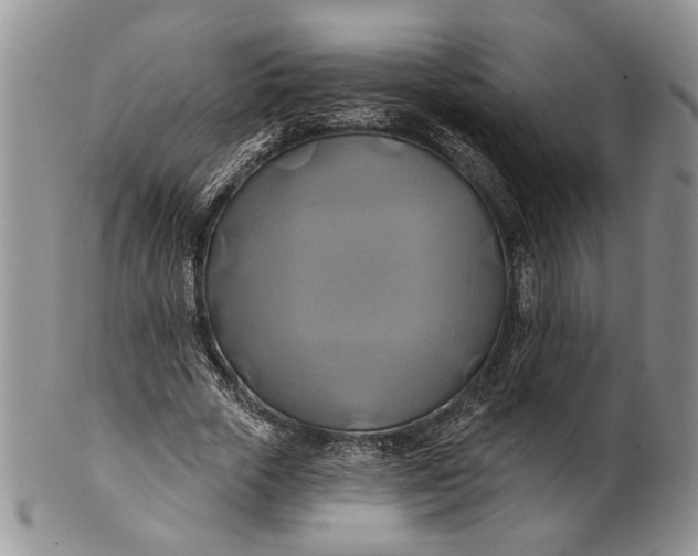 X0000100780729200807101816