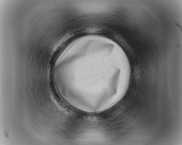 X0000100780730200807101816