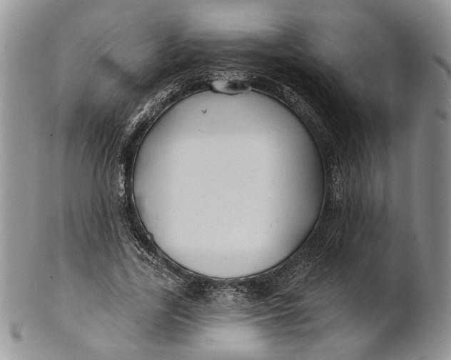 X0000100780731200807101816