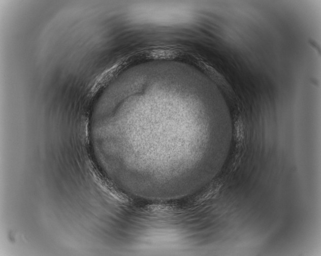 X0000100780733200807101816