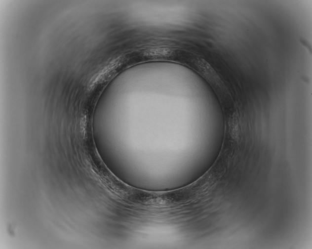 X0000100780735200807101816