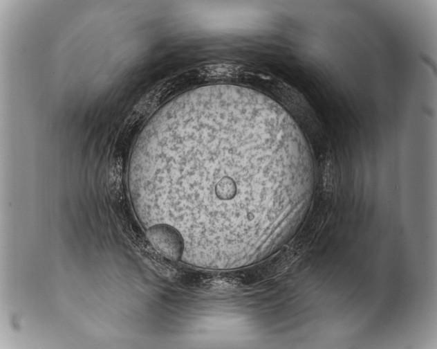 X0000100780737200807101816