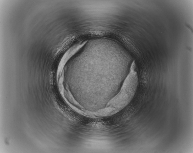 X0000100780738200807101816