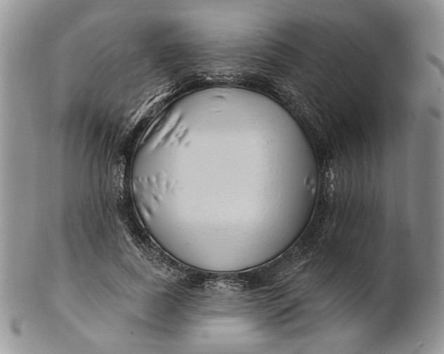 X0000100780739200807101816