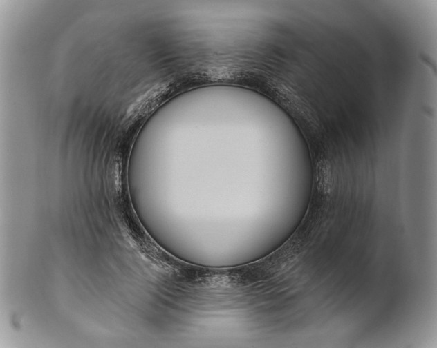 X0000100780740200807101816