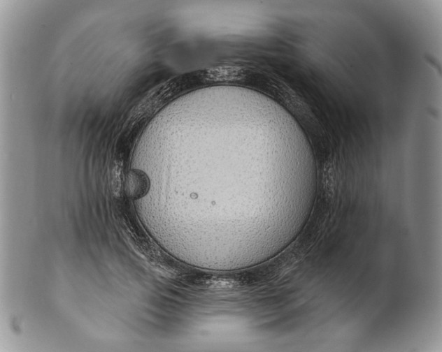 X0000100780741200807101816