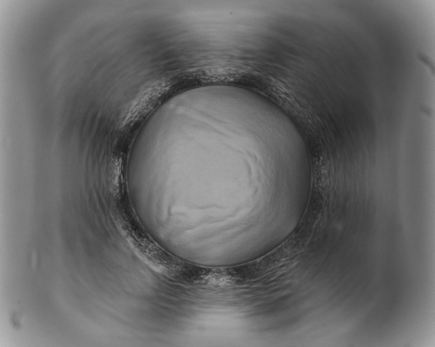 X0000100780742200807101816