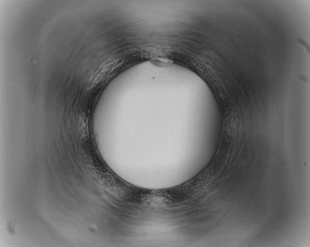 X0000100780743200807101816