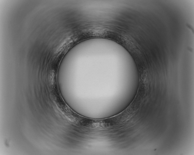 X0000100780744200807101816