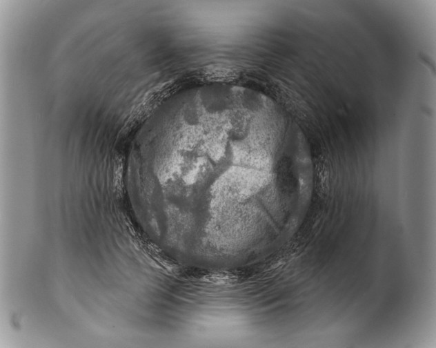 X0000100780745200807101816