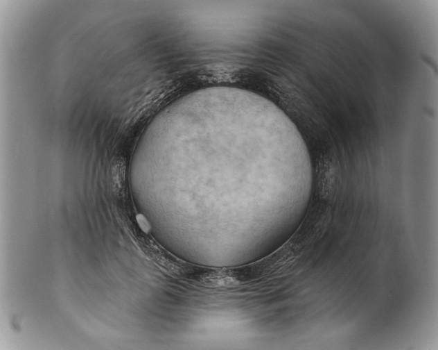 X0000100780747200807101816