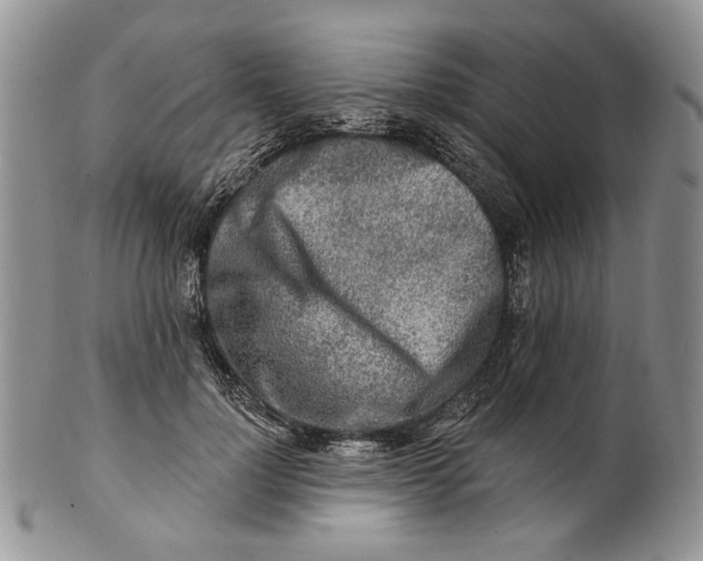 X0000100780748200807101816