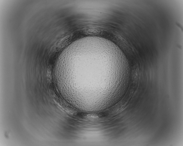 X0000100780749200807101816