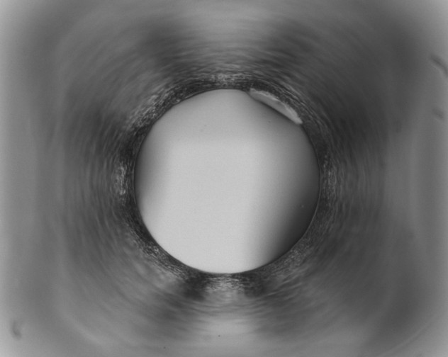 X0000100780750200807101816