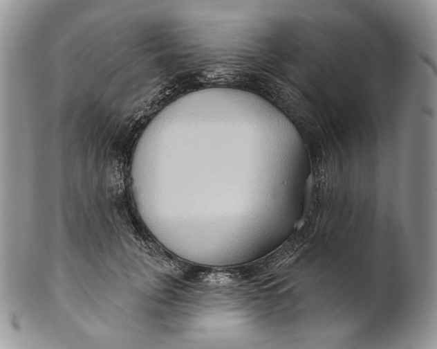 X0000100780751200807101816