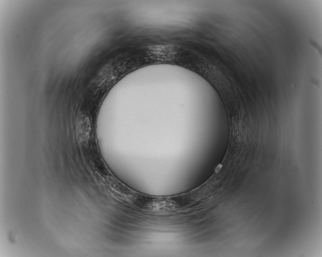 X0000100780752200807101816