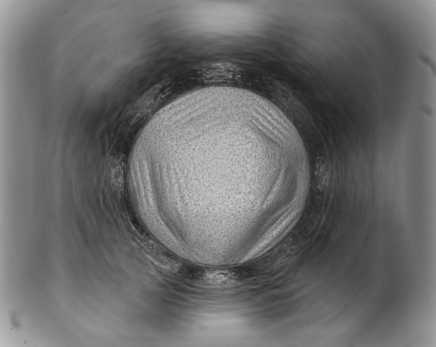 X0000100780753200807101816