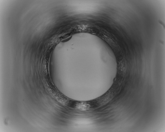 X0000100780754200807101816