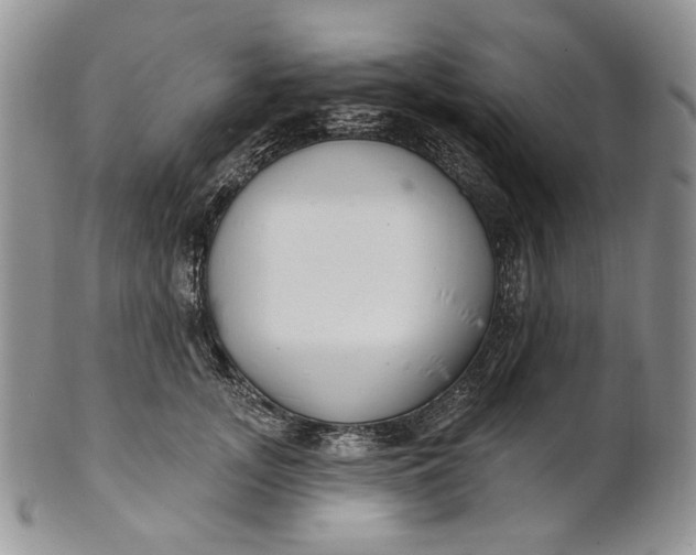 X0000100780755200807101816