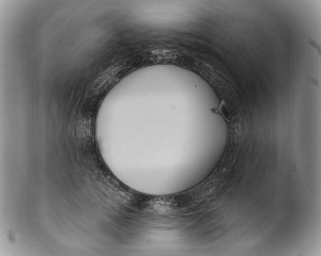 X0000100780756200807101816