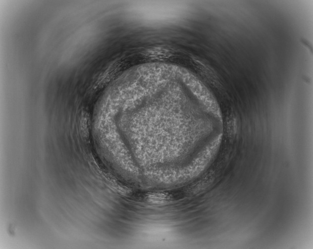 X0000100780757200807101816