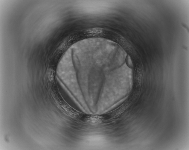 X0000100780758200807101816