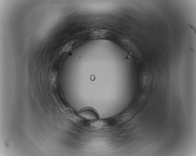 X0000100780759200807101816