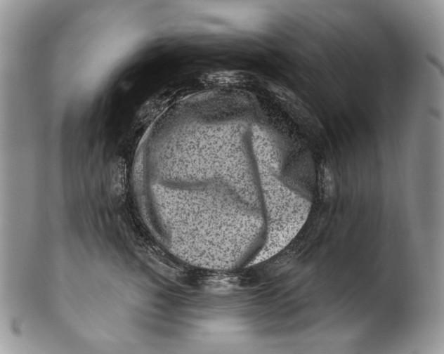 X0000100780760200807101816