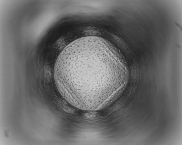 X0000100780761200807101816