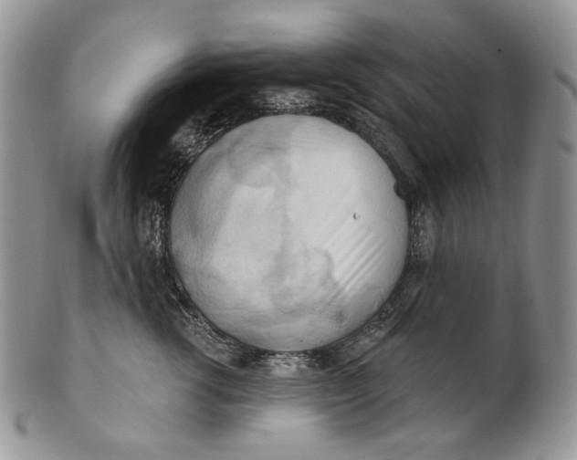 X0000100780762200807101816