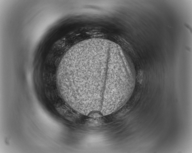 X0000100780763200807101816