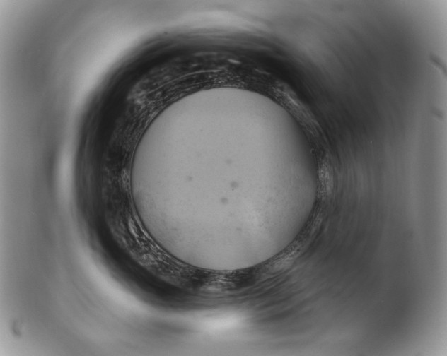 X0000100780765200807101816