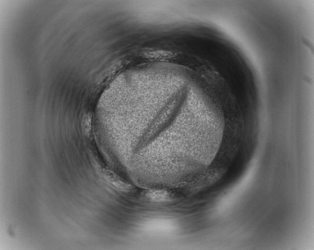 X0000100780767200807101816