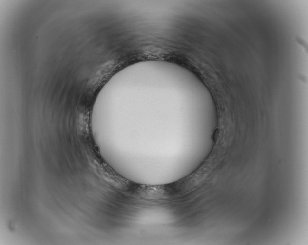 X0000100780768200807101816