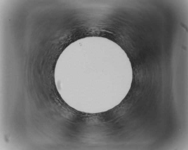 X0000100780769200807101816