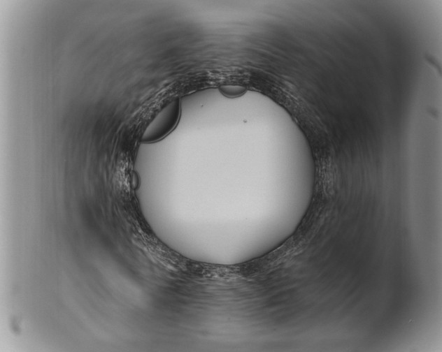 X0000100780770200807101816