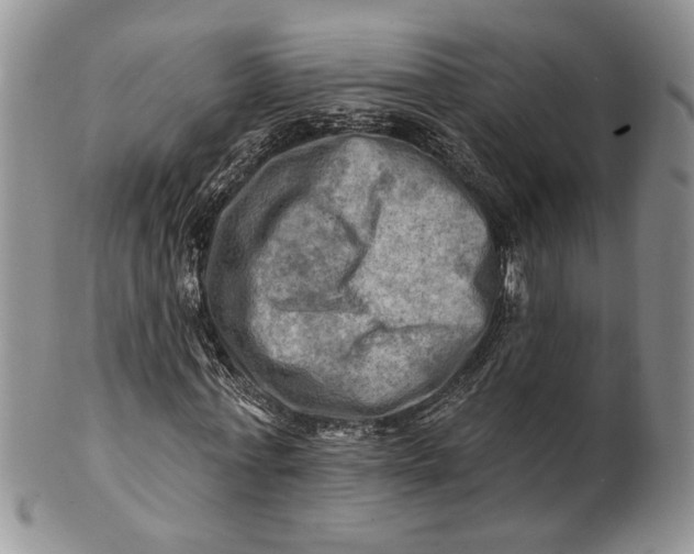 X0000100780771200807101816