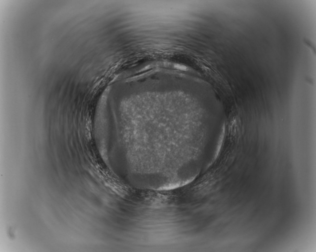 X0000100780772200807101816