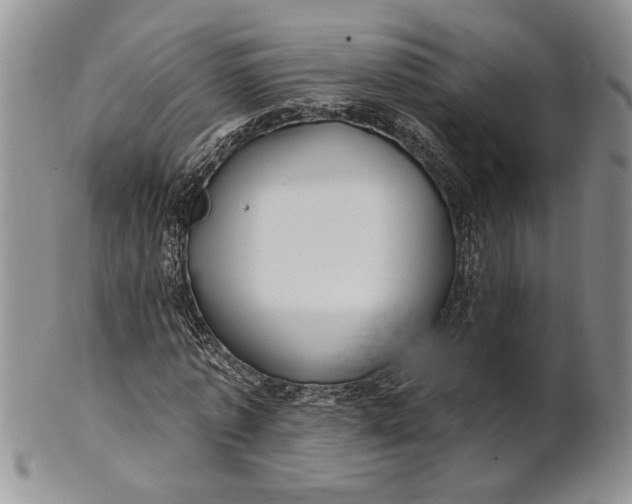 X0000100780773200807101816