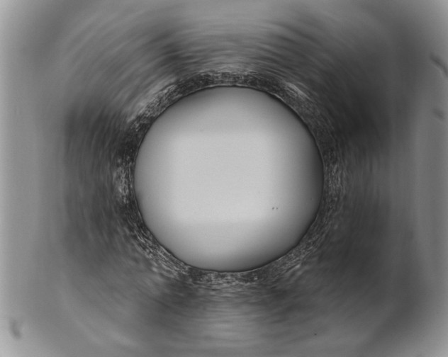 X0000100780774200807101816