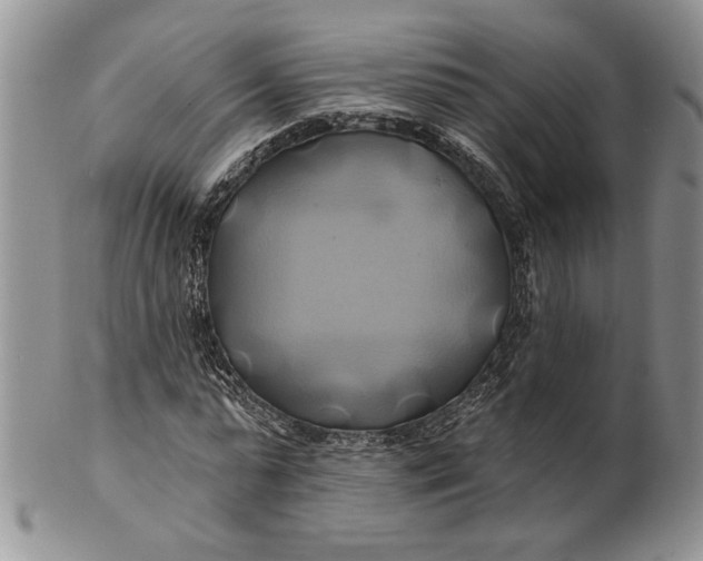 X0000100780775200807101816