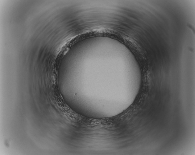 X0000100780776200807101815