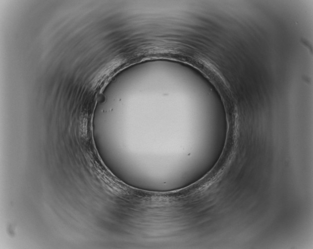 X0000100780777200807101815