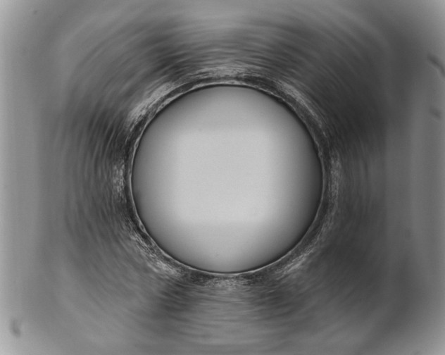 X0000100780778200807101815