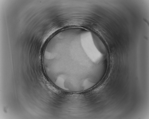 X0000100780779200807101815