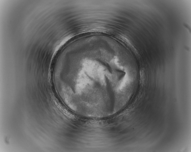 X0000100780780200807101815