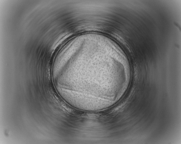 X0000100780782200807101815