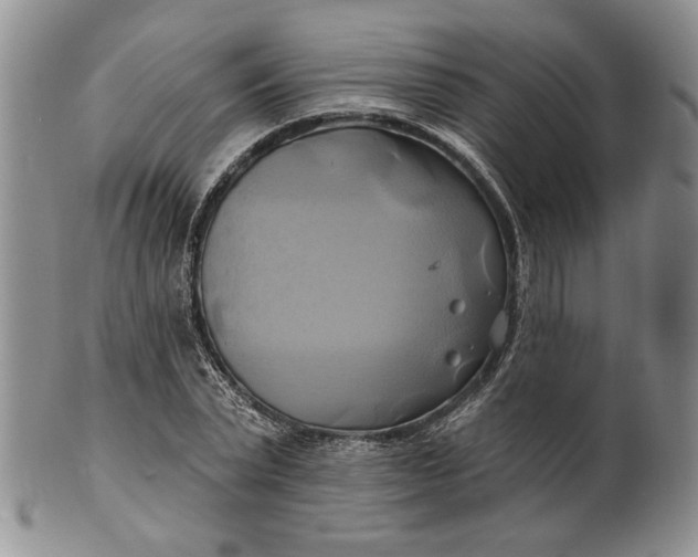 X0000100780783200807101815